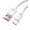 USB Type-C laidas (1m)